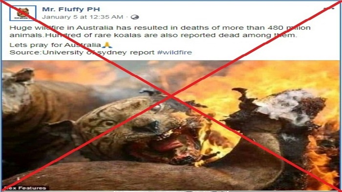 Burned tigers, rescued kangaroos: Australia bushfire disinformation