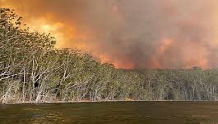 Storms bring relief and danger to Australian wildfires