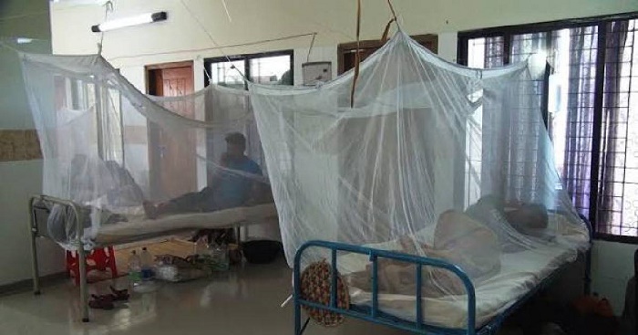 3 new dengue patient detected in last 24 hrs: DGHS

