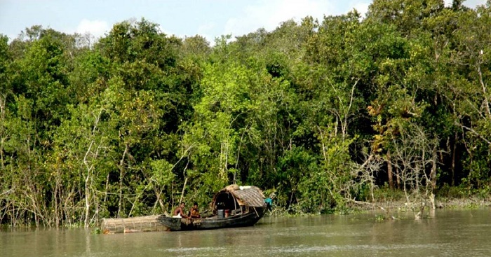 Government plans to revamp facilities in Sundarbans to boost tourism
