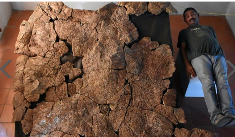 Rare human disease discovered in  66-million-year-old dinosaur tumor