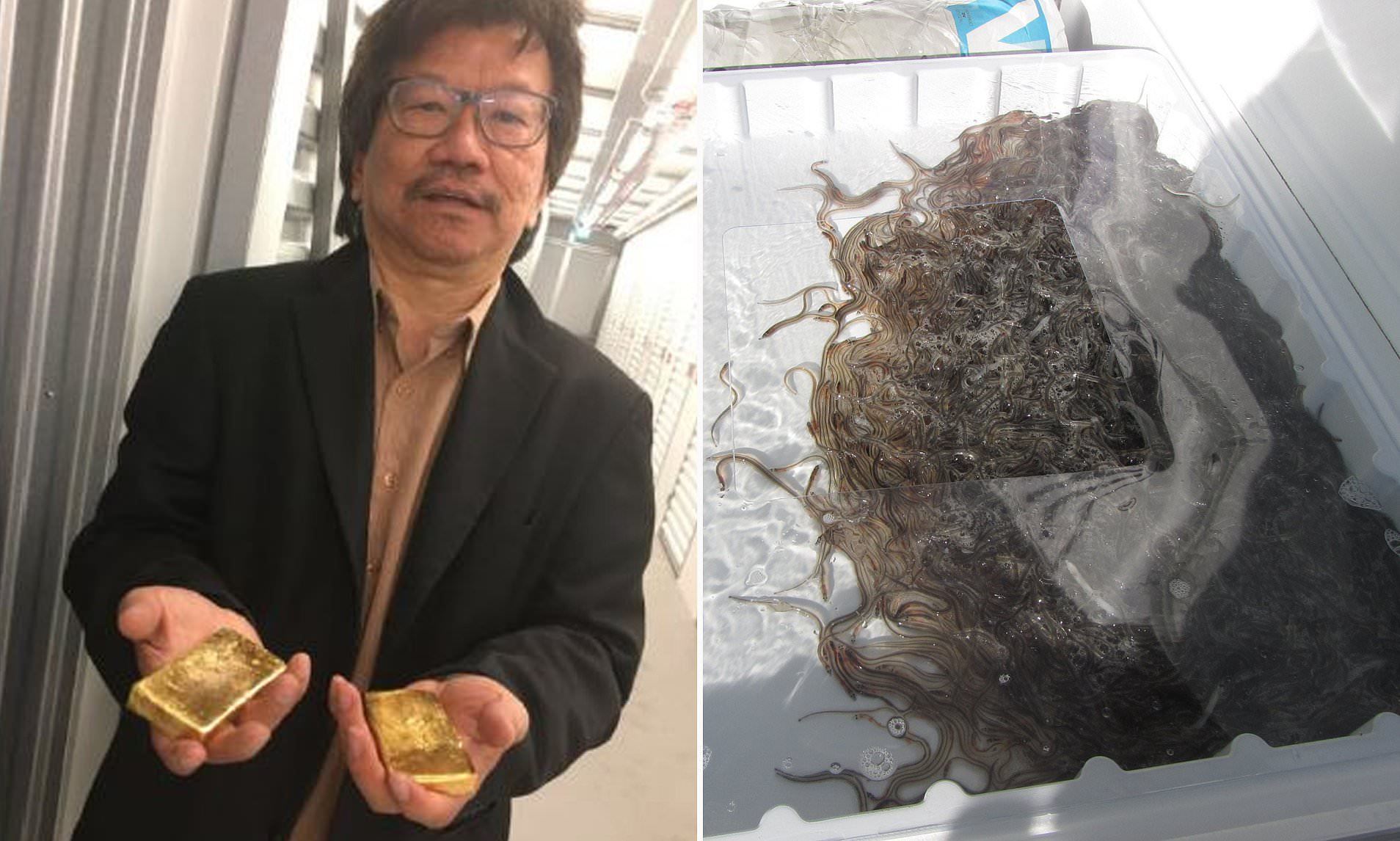 Seafood salesman smuggled £53m worth of live eels out of UK