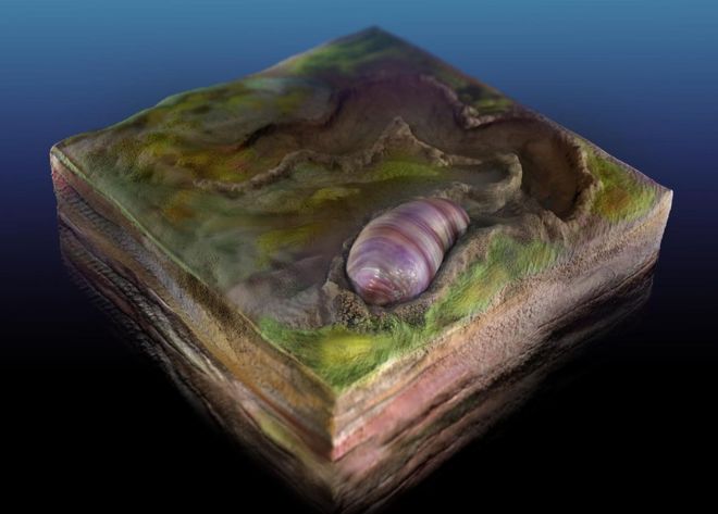 Fossil worm shows us our evolutionary beginnings