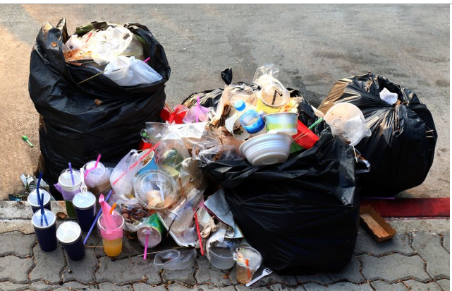 Panic buyers slammed for dumping perfectly good food amid fears of rat invasion