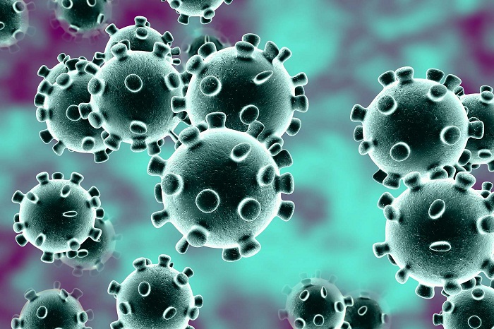 2 Bangladeshis die of coronavirus in Canada