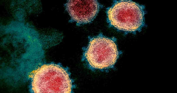 Shanghai reports 2 new imported COVID-19 cases