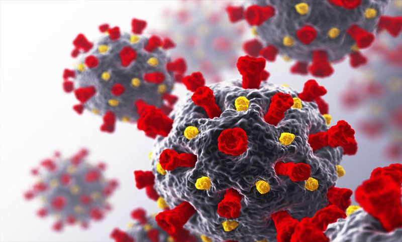 Madrasha teacher suffering from fever dies in Laxmipur