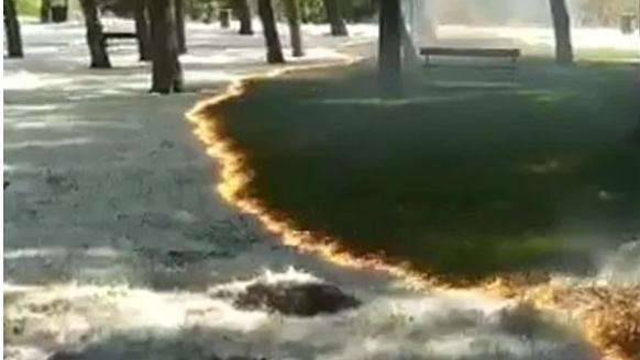 A fire burns without touching trees or grass in this baffling video
