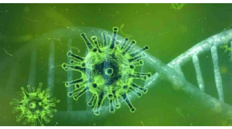 BJRI, CVASU jointly sequence coronavirus genome