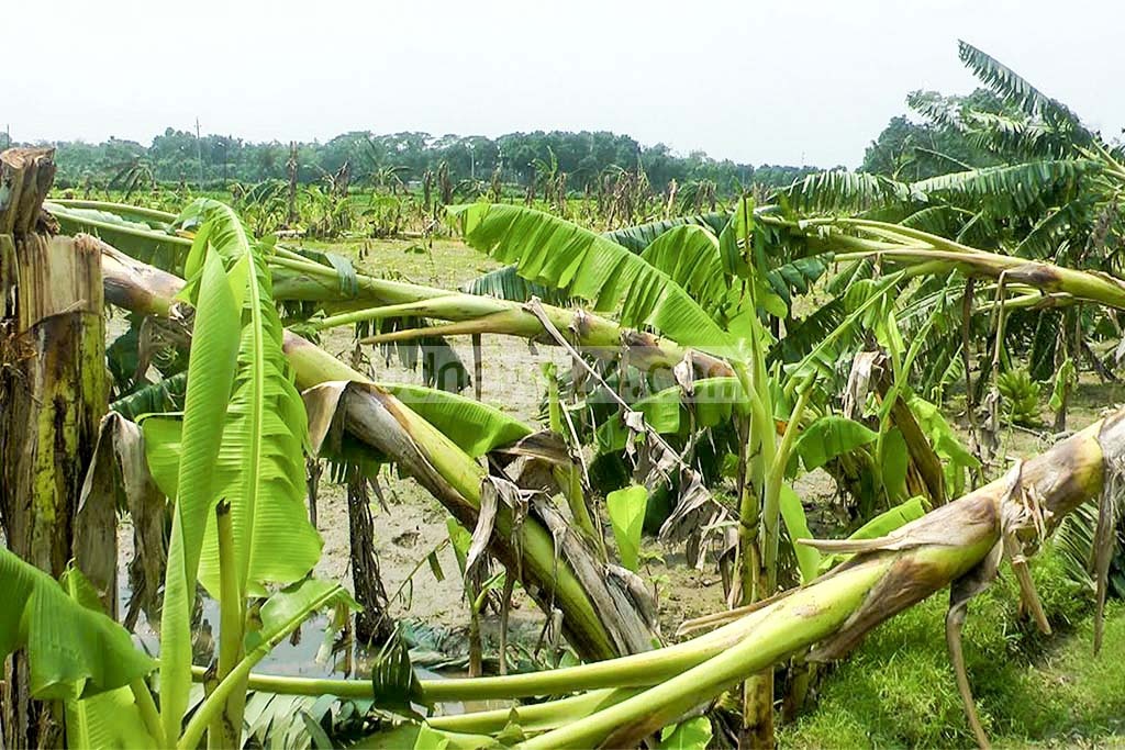 Cyclone Amphan: Bagerhat suffers losses worth Tk 400cr