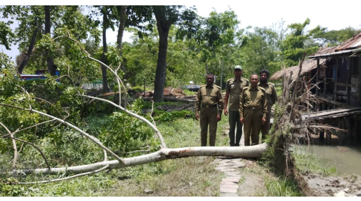 Amphan damages Sundarbans infrastructures, trees worth Tk 1.67 cr