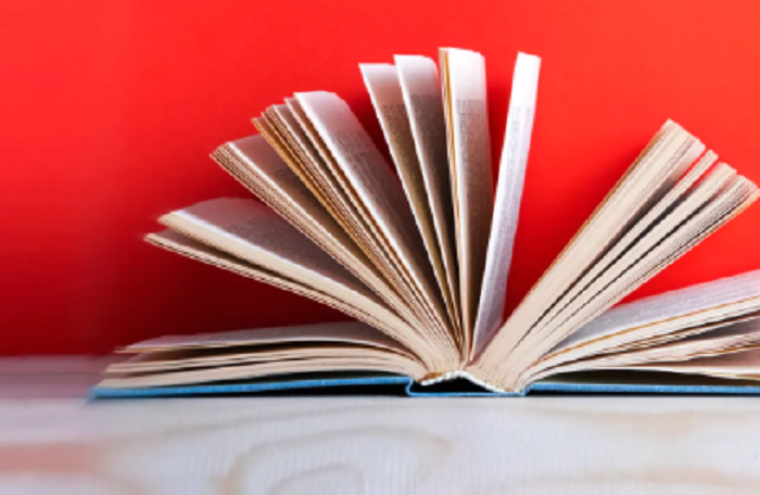 Research book related to COVID-19 economy published