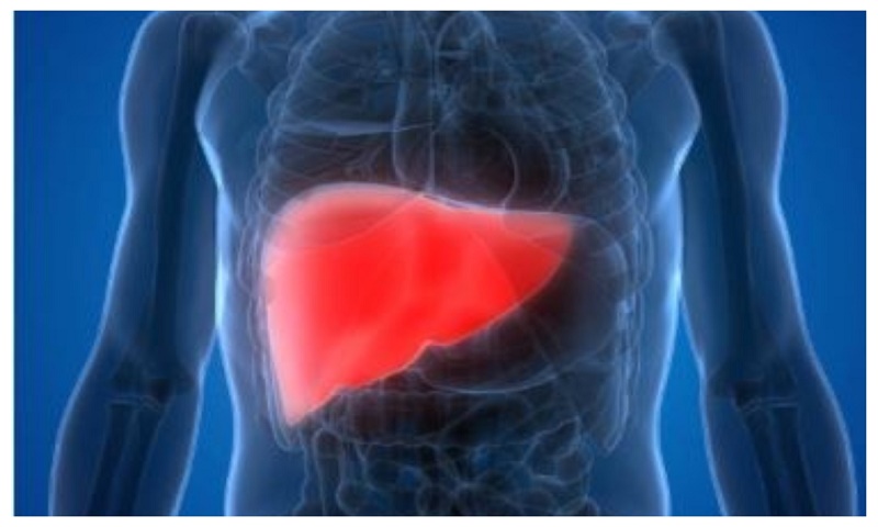 Why women are less likely to die of liver cirrhosis than men?