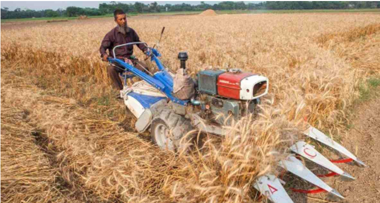 Agriculture in the spotlight in Covid-hit Bangladesh