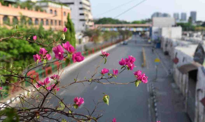 Rains lift Dhaka's air quality