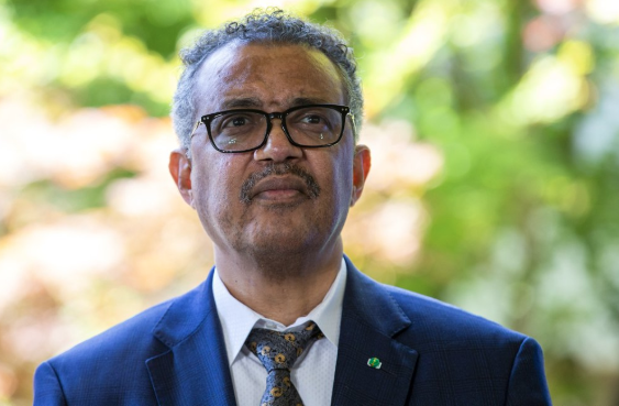 WHO appoints 2 women to lead pandemic panel