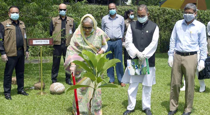 PM launches plantation of one crore saplings