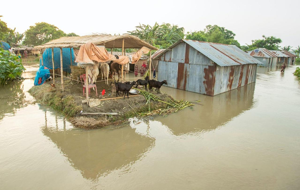 Flood situation in Ganges basin gets better