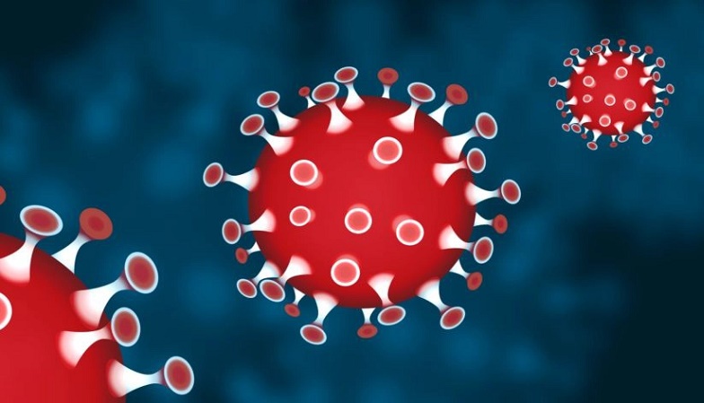 Covid-19: 39 more die, 2,907 test positive, 2,067 recover in 24hrs
