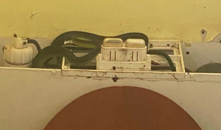 Australian woman finds four snakes inside her blocked toilet tank