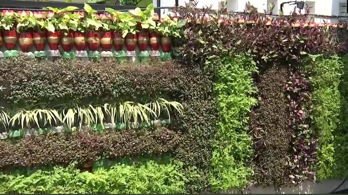 Environmentalist creates vertical garden in painted plastic bottles in Jammu