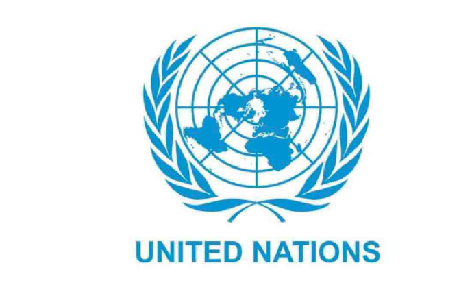 Stranded migrants need safe return: UN