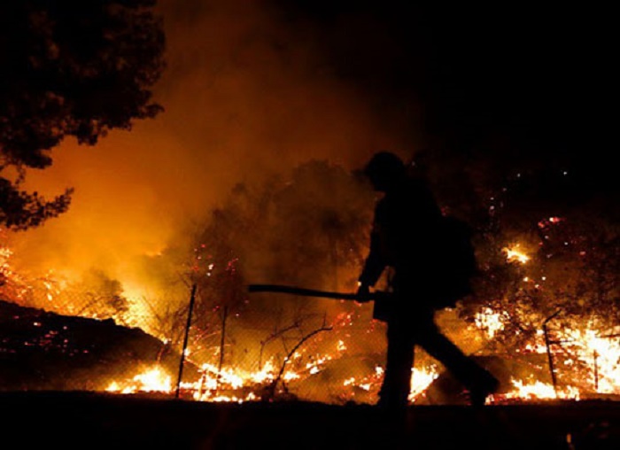 Wildfires in US California burn over 4 mln acres of land