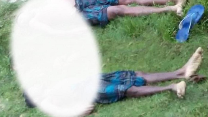 Bodies of 2 siblings found in Feni border