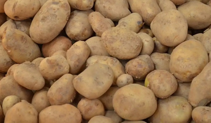 Govt re-fixes potato retail price at Tk 35 per kg