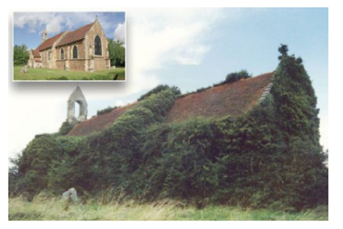 Church that was 'essentially a bush' looks unrecognisable after dramatic transformation