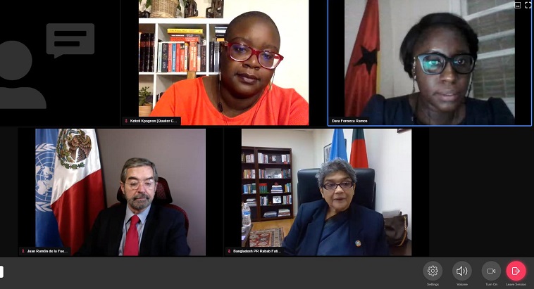 Strong political will needed to ensure dignity of migrants: Rabab Fatima