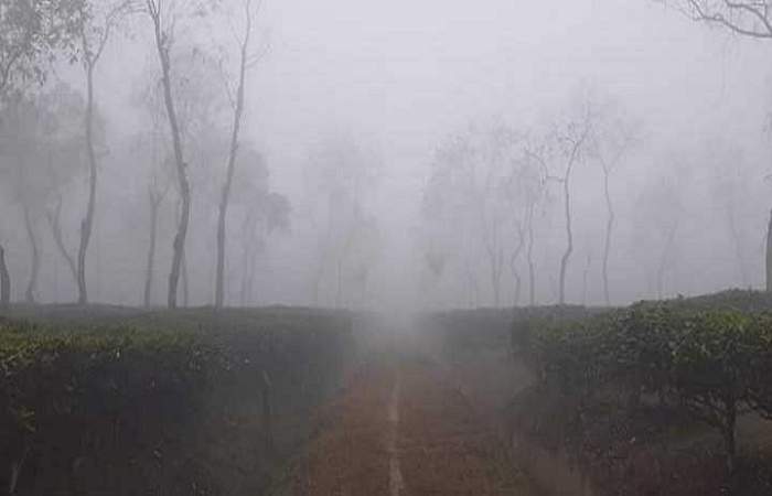 Cold wave grips northern region; lowest temperature recorded in Srimangal