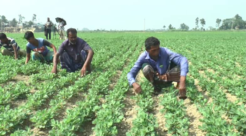 BB asks banks to meet farm credit target