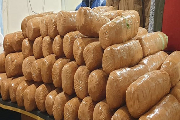 2 held with 100kg cannabis in capital