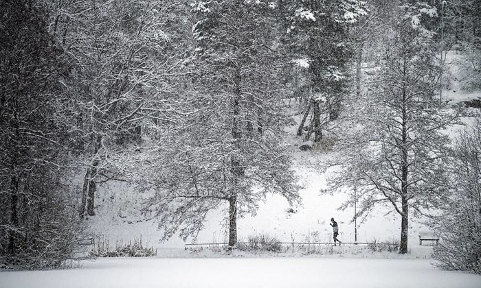 Four die in Sweden after falling through ice on lake