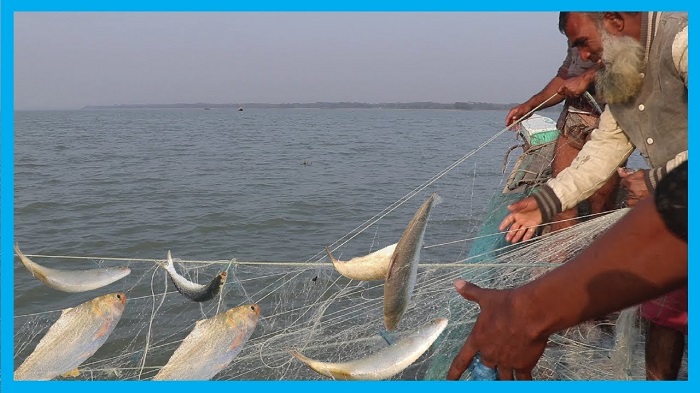 60-day ban on fishing in Meghna, Padma begins