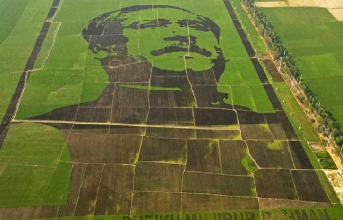 Guinness representative overwhelmed after see Bangabandhu’s crop field mosaic