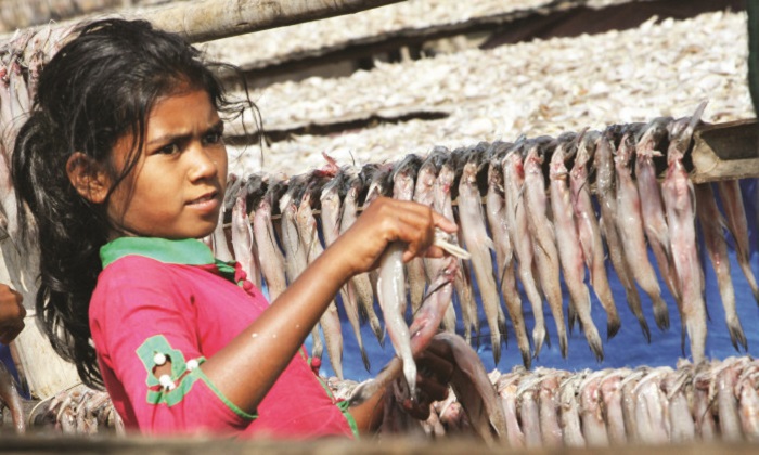 Curse of child labour is on wane on Dublar Char