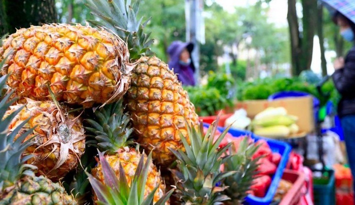 China and Taiwan face off in pineapple war