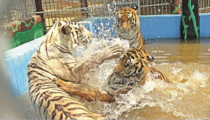 Country sizzles in heat wave