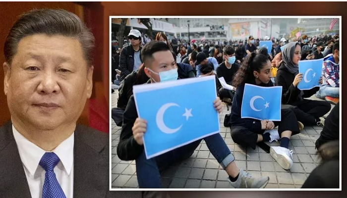 China's uyghur repression not just cultural but 'physical', says report as birthrates drop