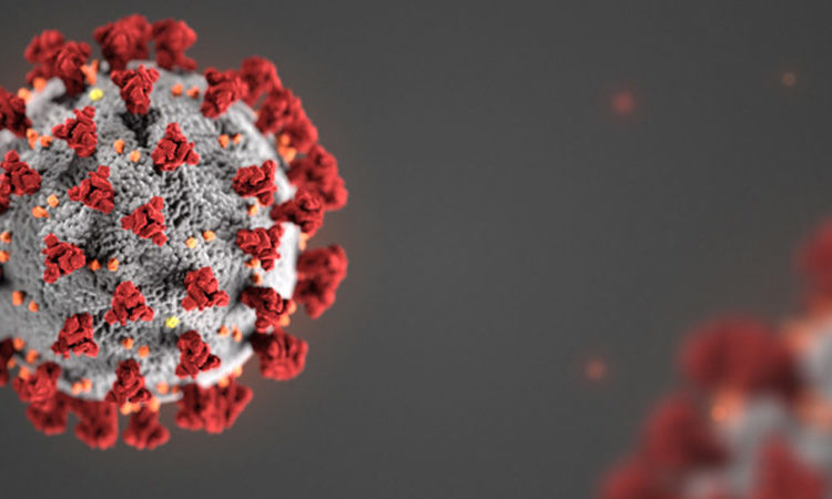 11 more India returnees test positive for Covid-19