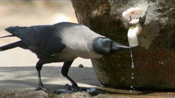 Mild to moderate heat wave sweeping over country