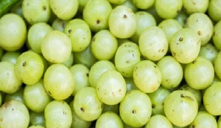 Know about immunity-boosting supplements