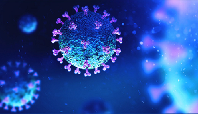 Bangladesh records 2nd highest single-day COVID-19 deaths