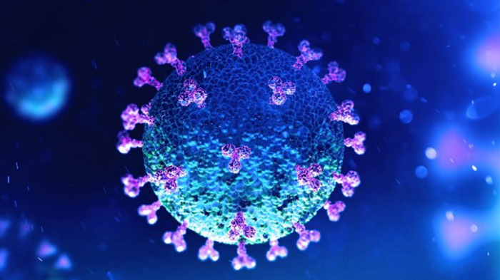 Covid-19 infection rate recorded 37.39% in Ctg