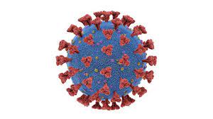 Bangladesh sees record-high 11,651 Covid cases; 199 more lives lost