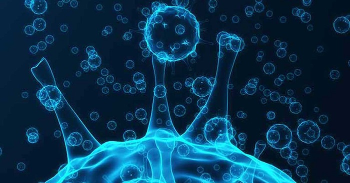 Covid-19: Country witnesses 204 deaths, 8,498 cases of infections

