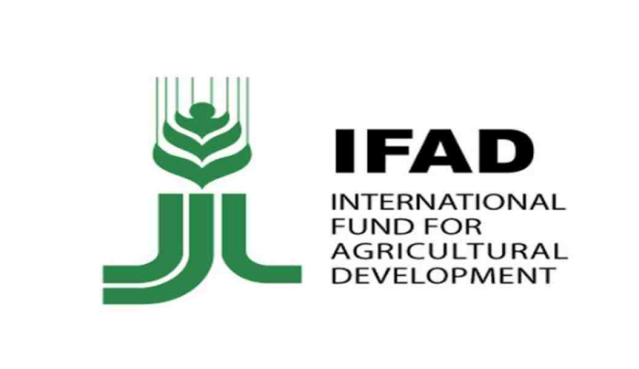Food systems that ignore needs of poor are doomed to fail: IFAD