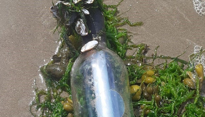 Message in a bottle washes up after 3,000-mile journey